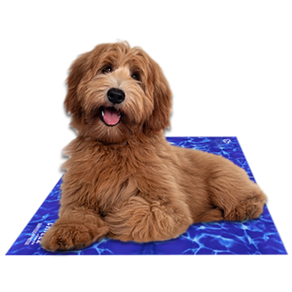 Chillz Pressure-Activated Cooling Mat