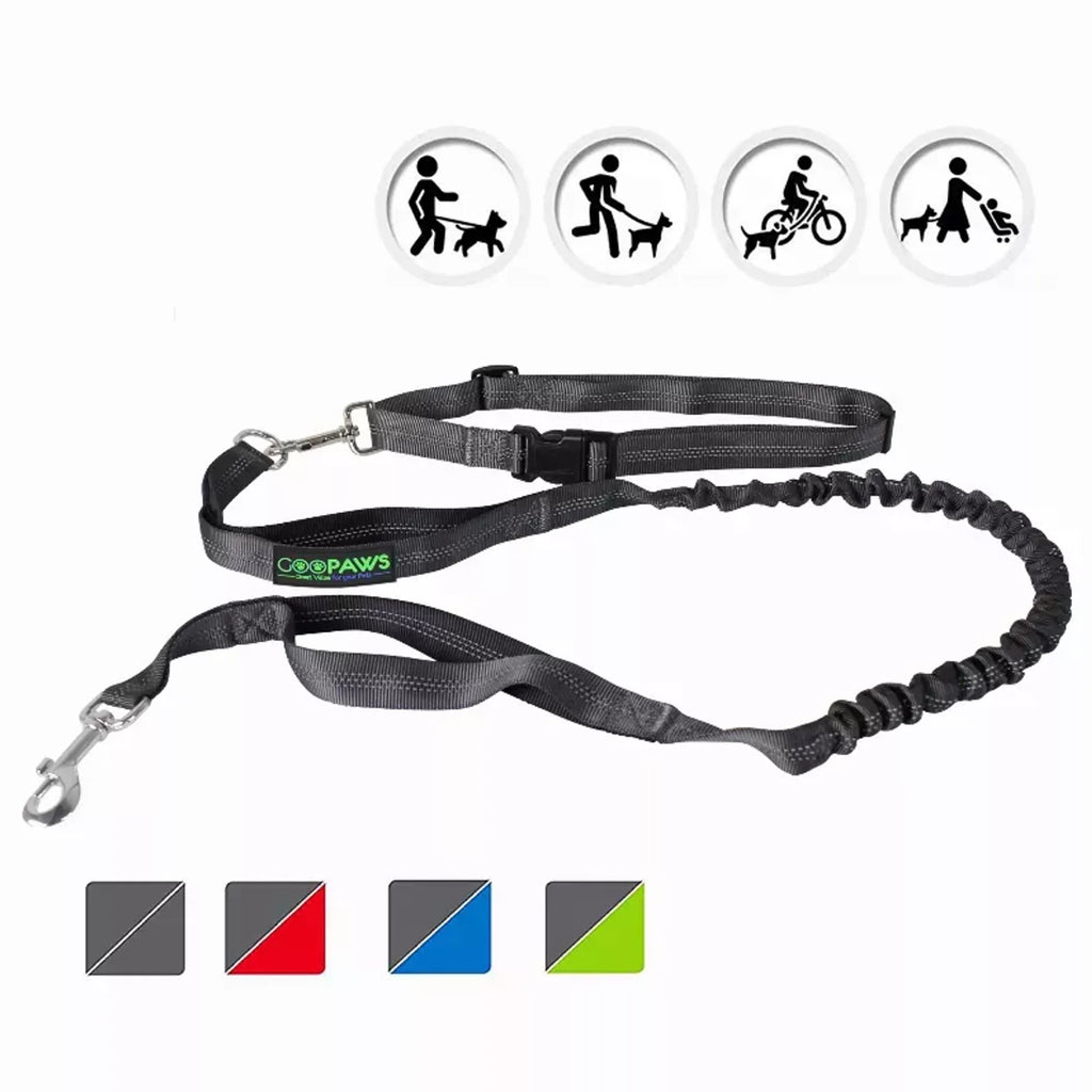 Hands-Free Bungee Dog Leash — Running &amp; Hiking