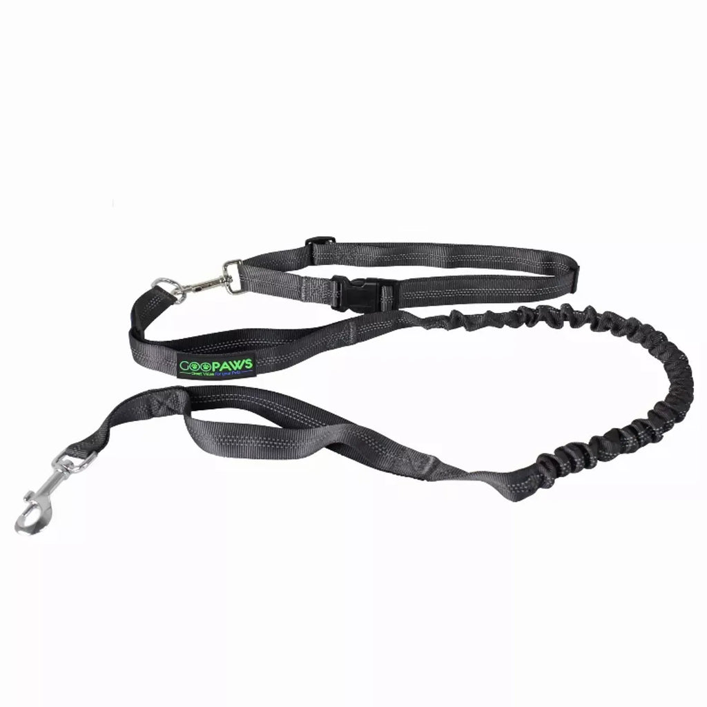 Hands-Free Bungee Dog Leash — Running &amp; Hiking