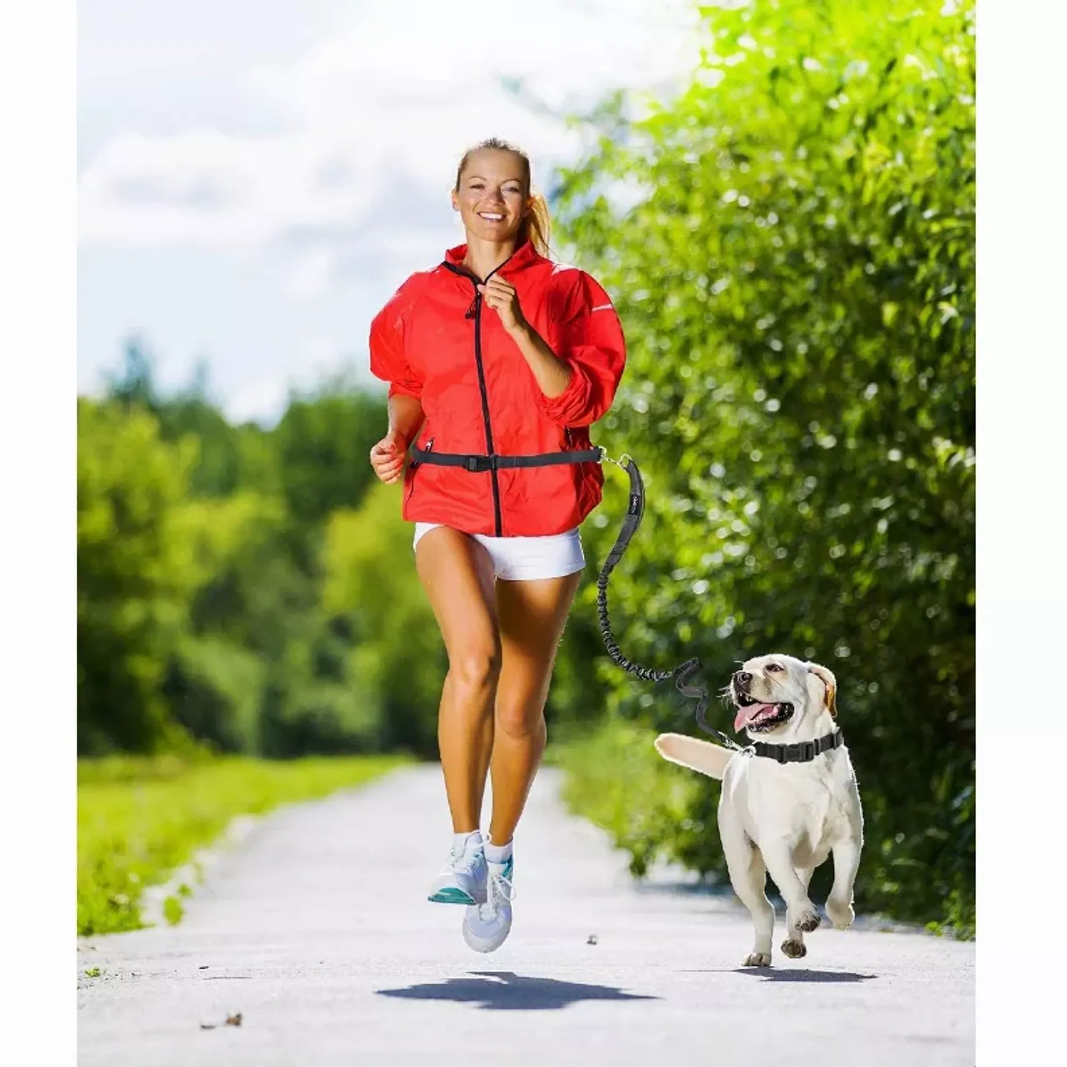 Hands-Free Bungee Dog Leash — Running &amp; Hiking