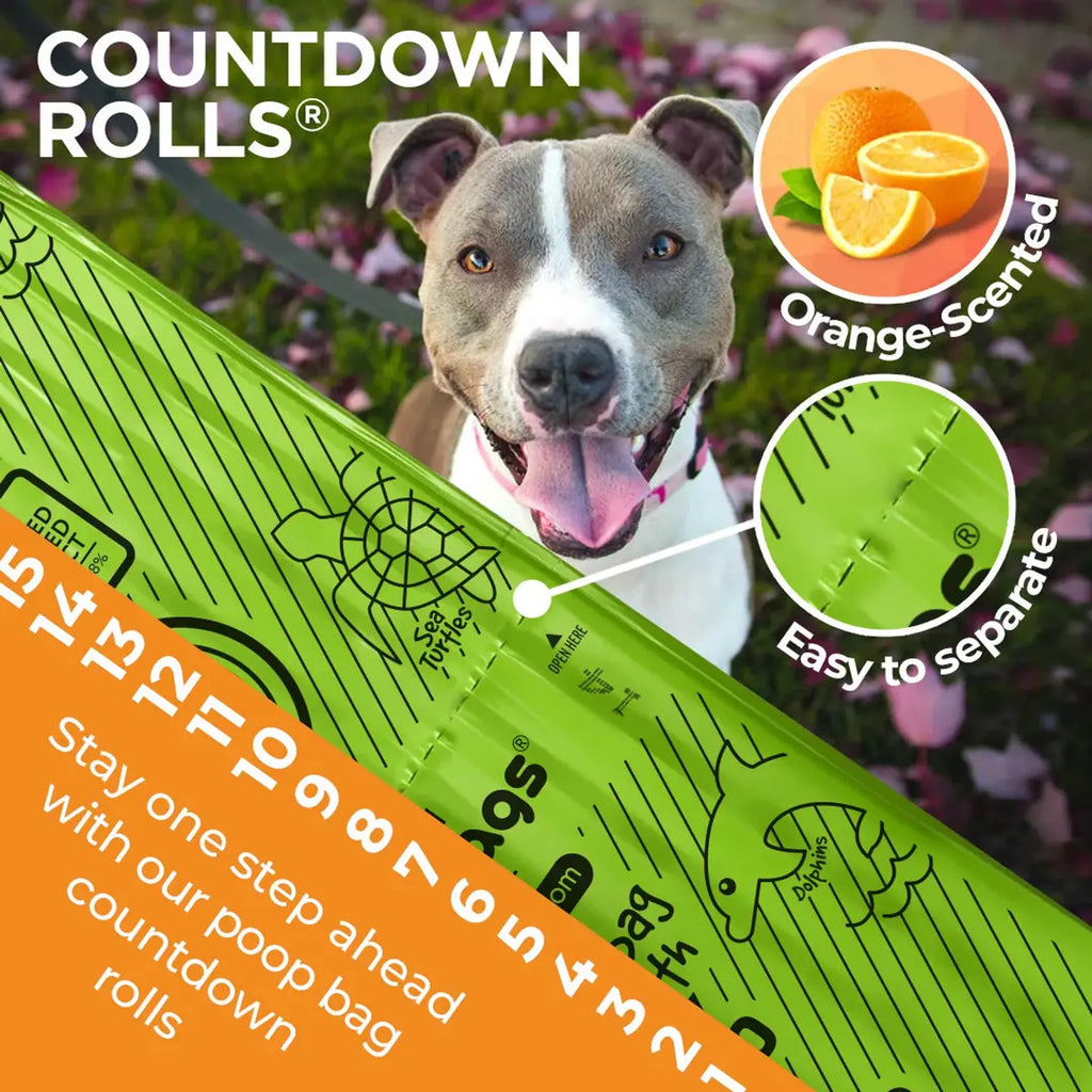 Orange-Scented Eco Poop Bags — 120 Count
