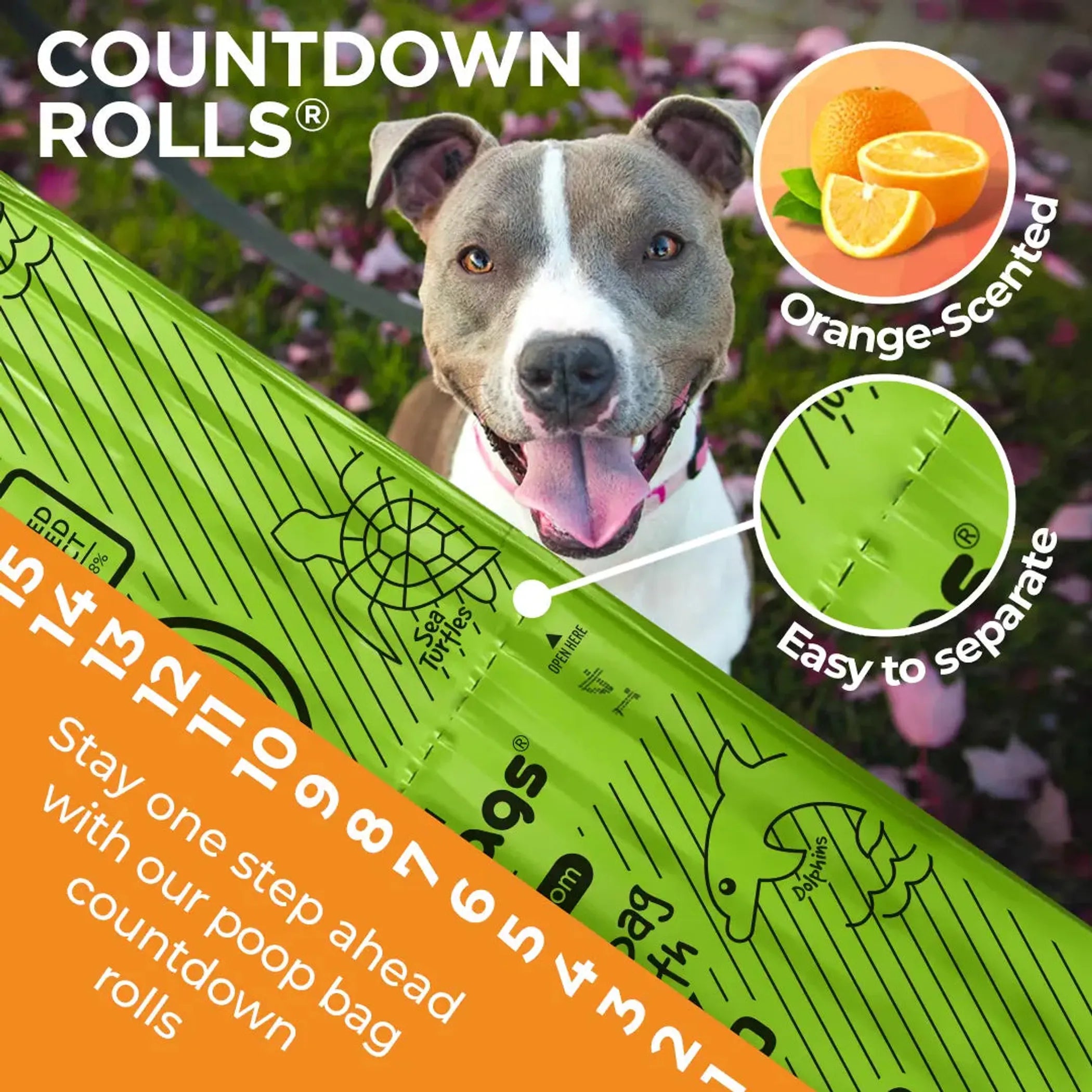 Orange-Scented Eco Poop Bags — 120 Count