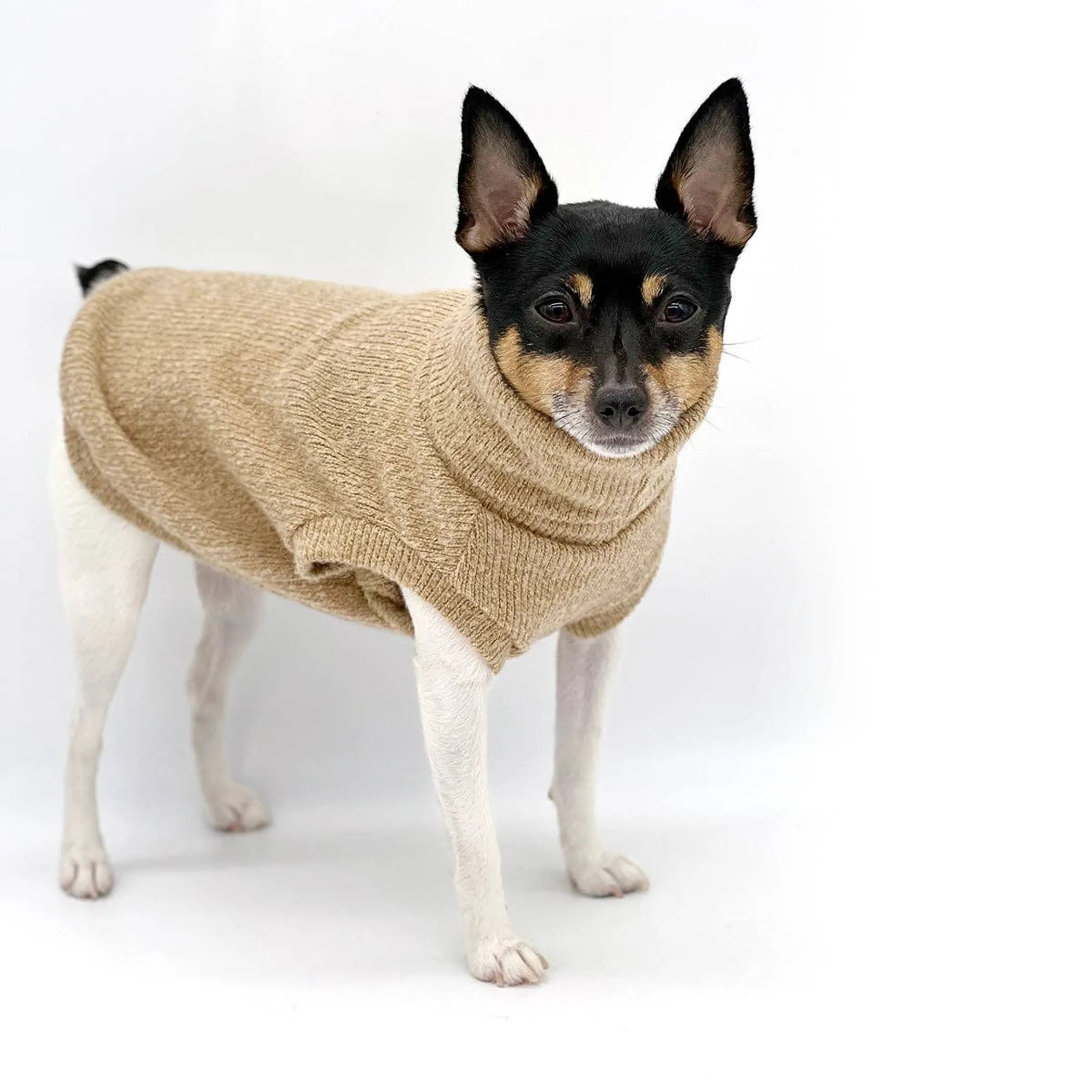 Cafe Latte Knit Dog Sweater