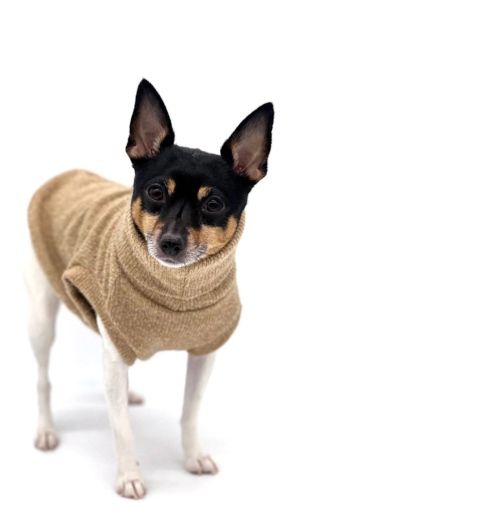 Cafe Latte Knit Dog Sweater