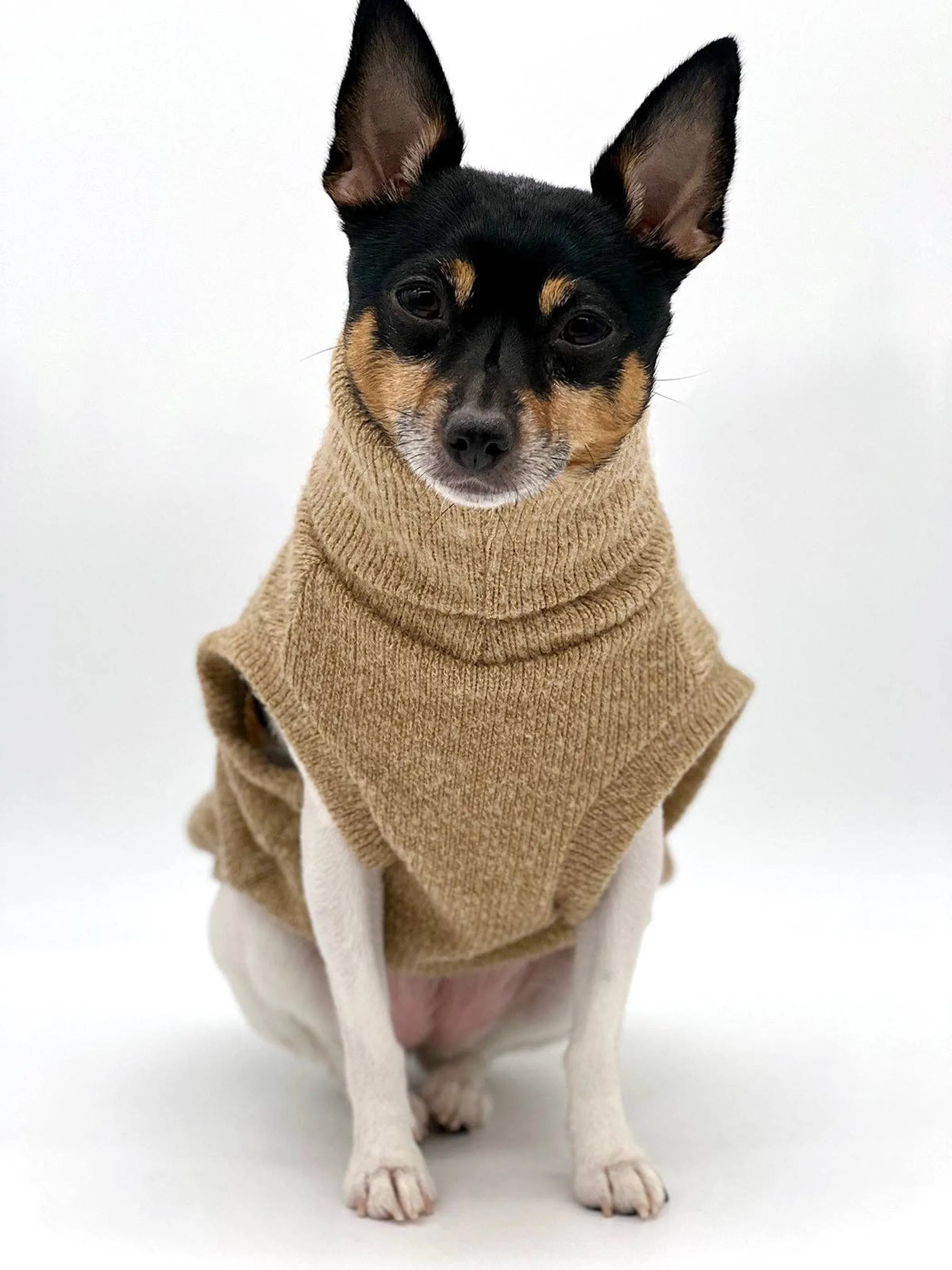 Cafe Latte Knit Dog Sweater