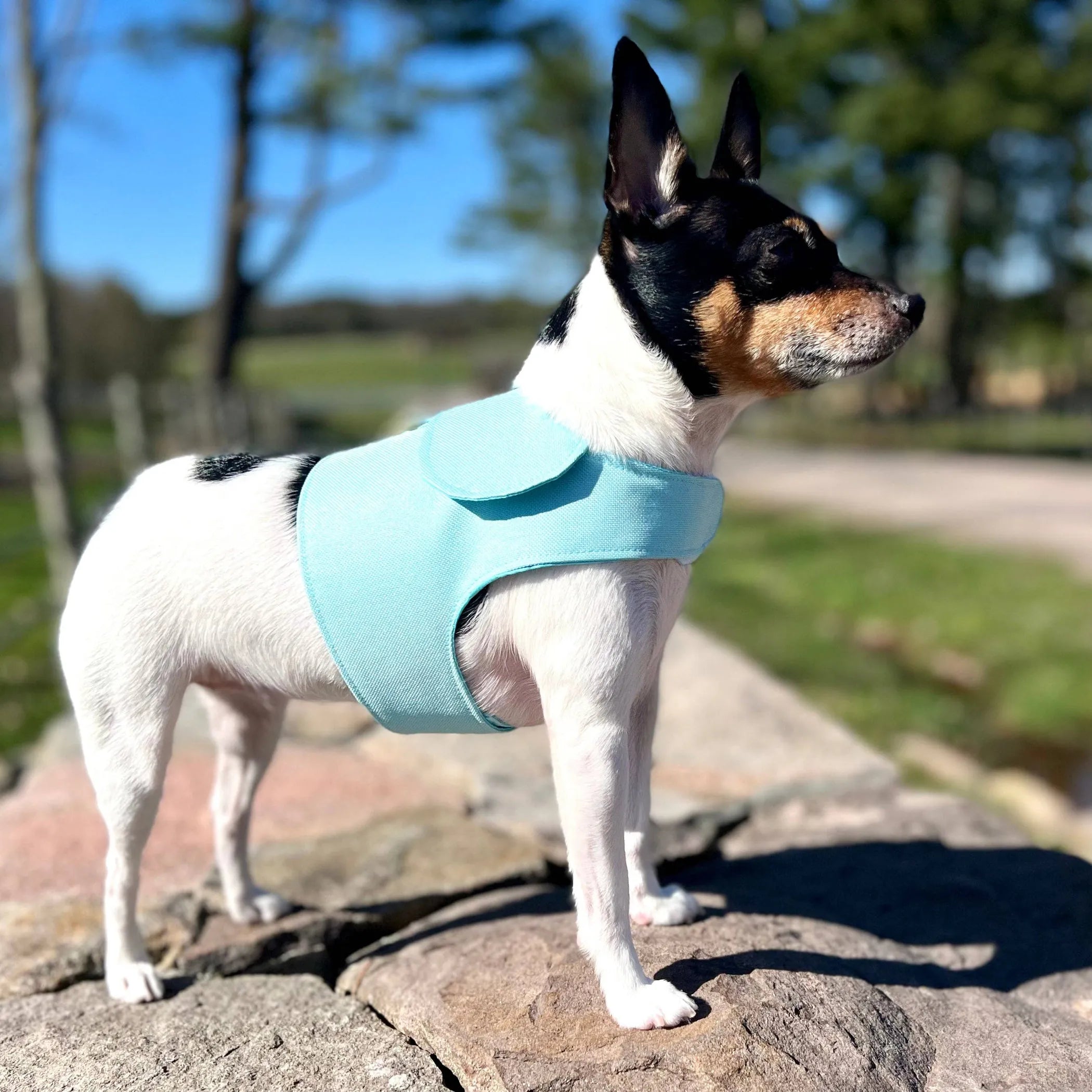Denim Flower Harness Vest