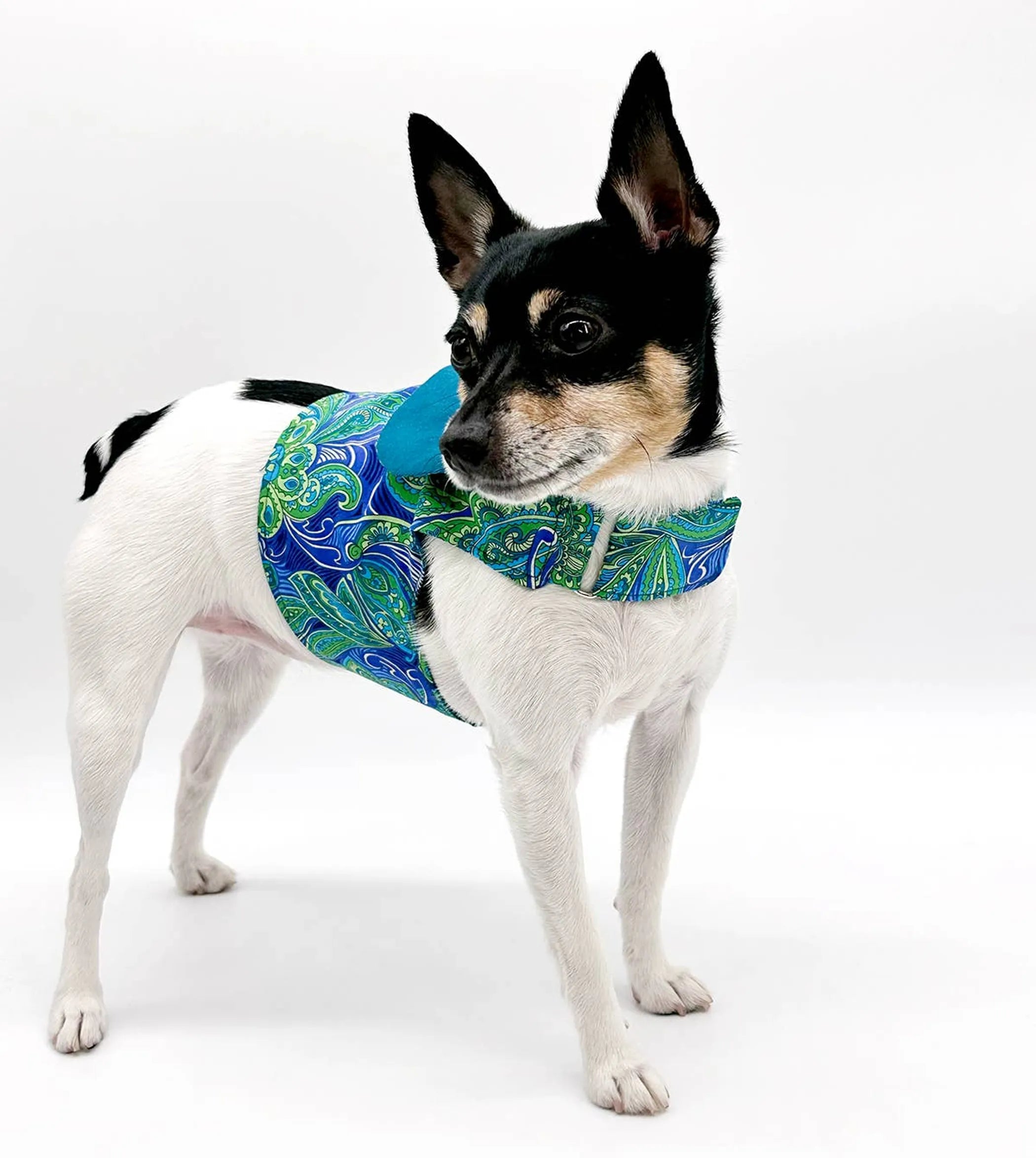 Pretty-in-Paisley Vest Harness