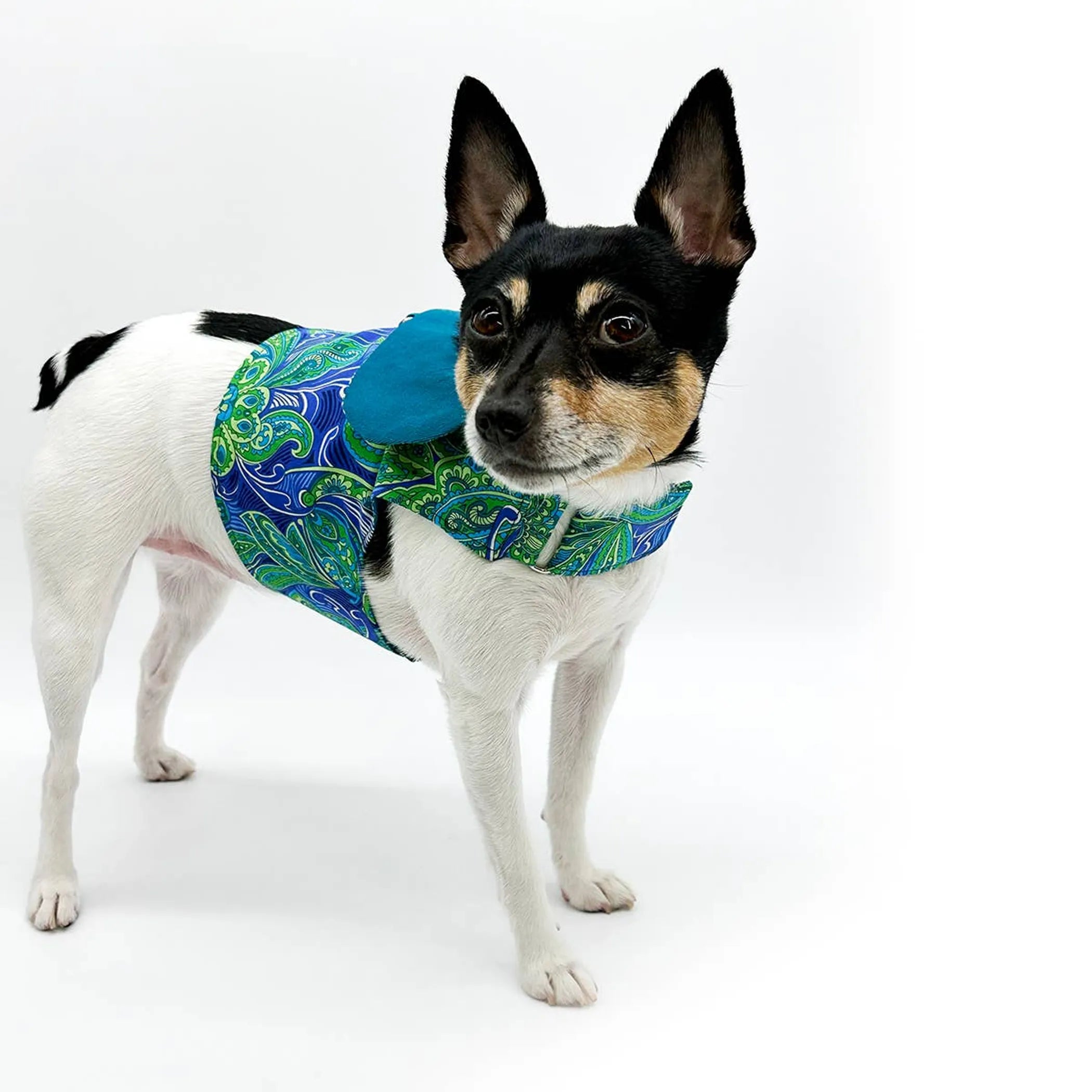 Pretty-in-Paisley Vest Harness