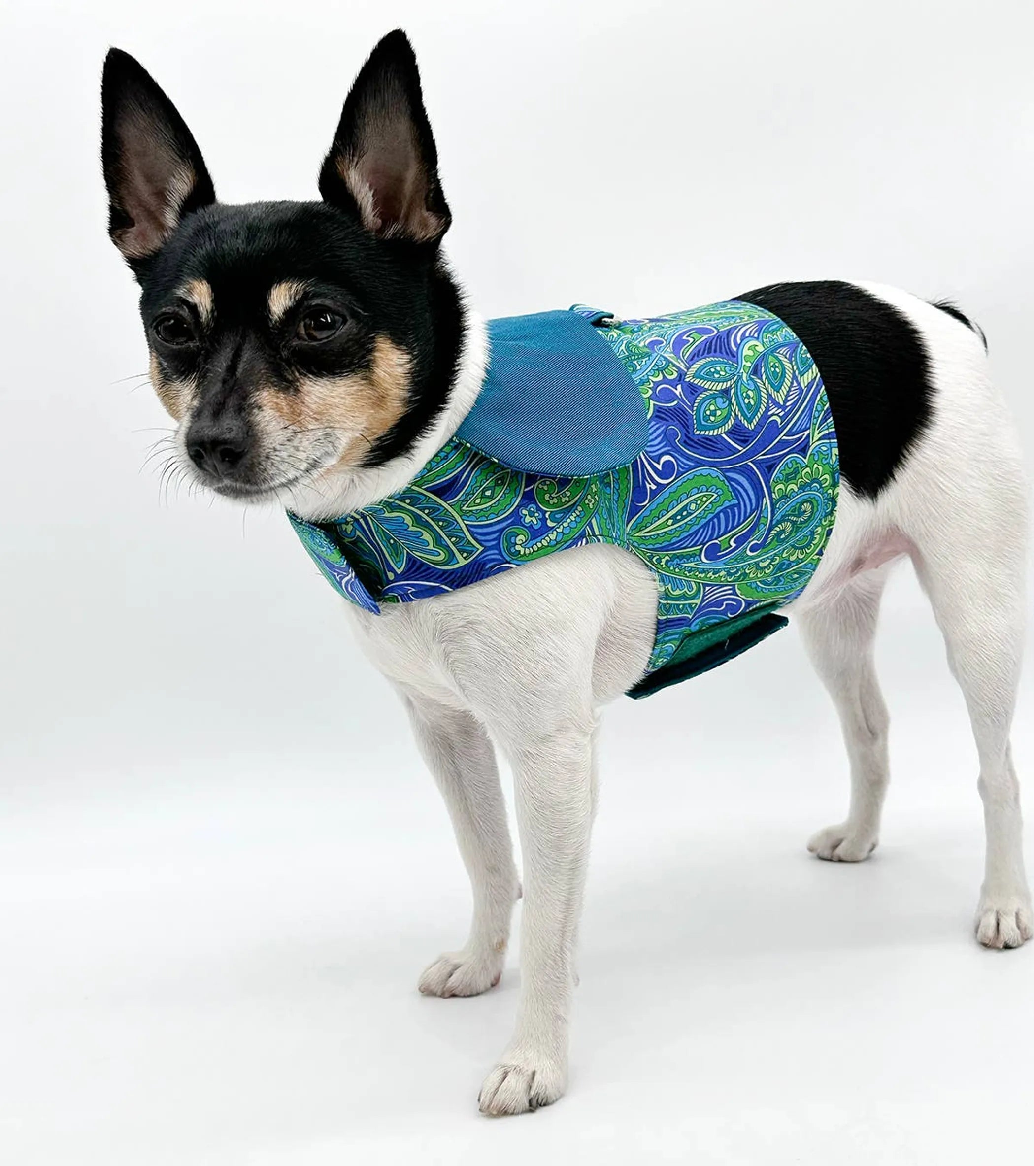 Pretty-in-Paisley Vest Harness