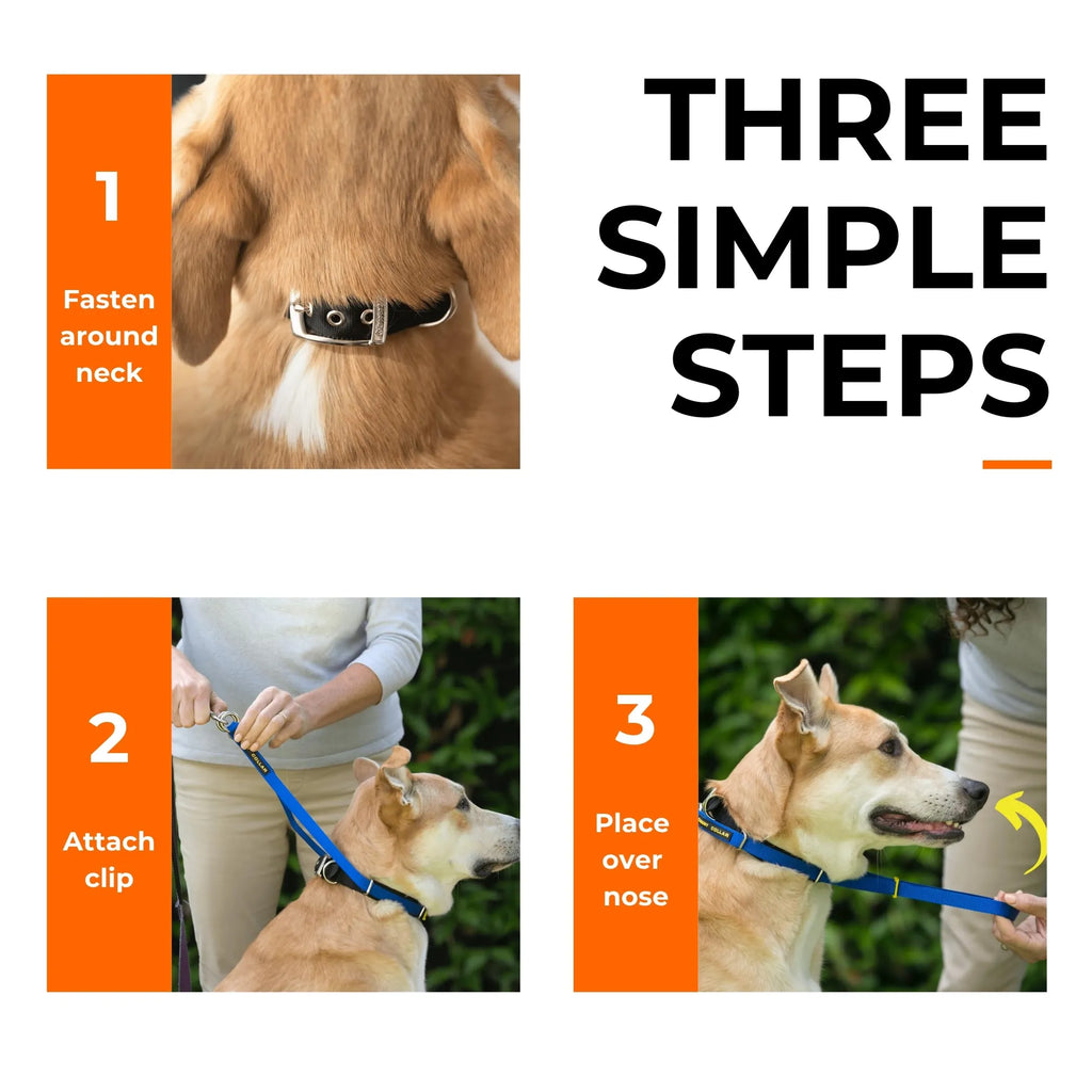 Canny Collar No-Pull Head Collar