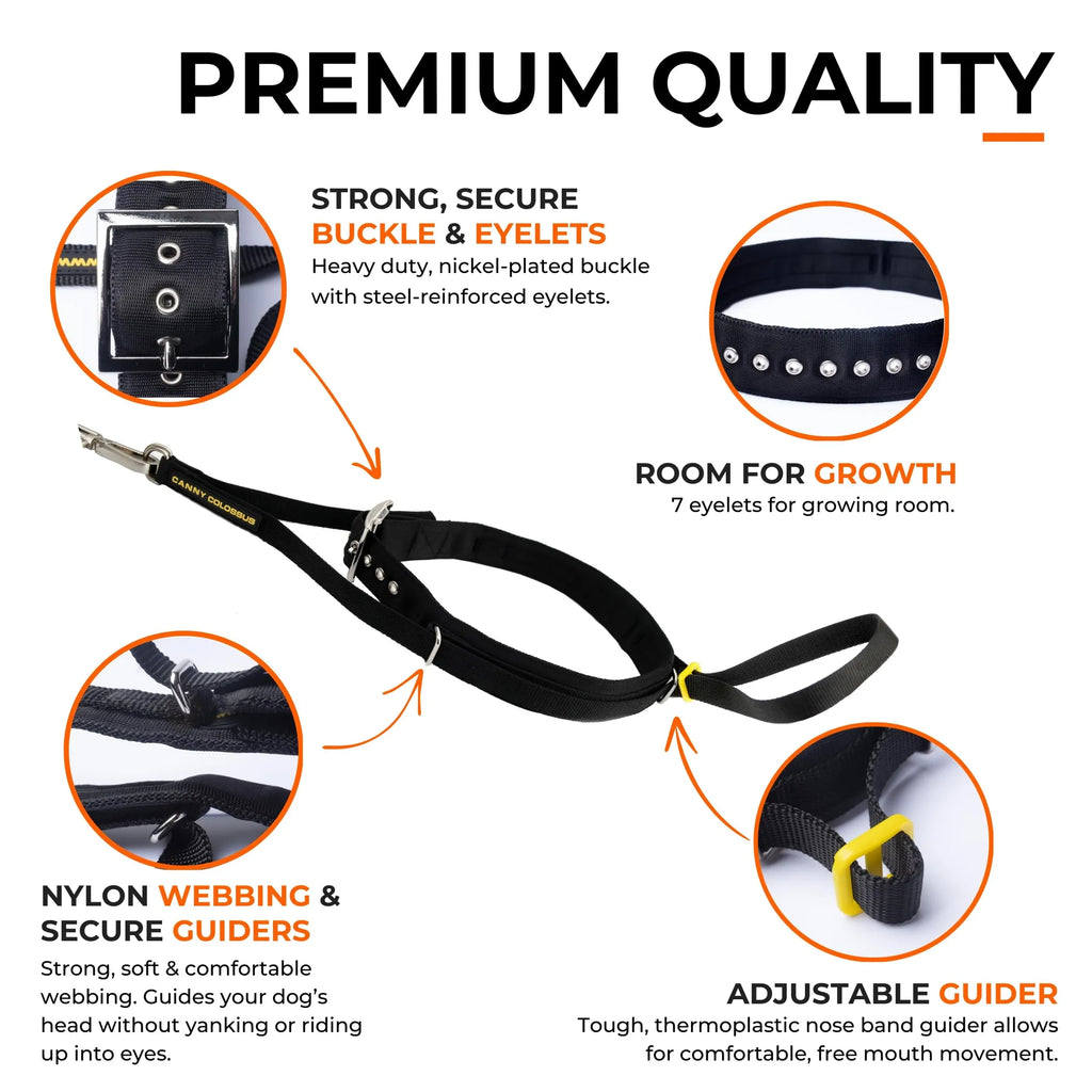 Canny Colossus No-Pull Head Collar — Large Breeds