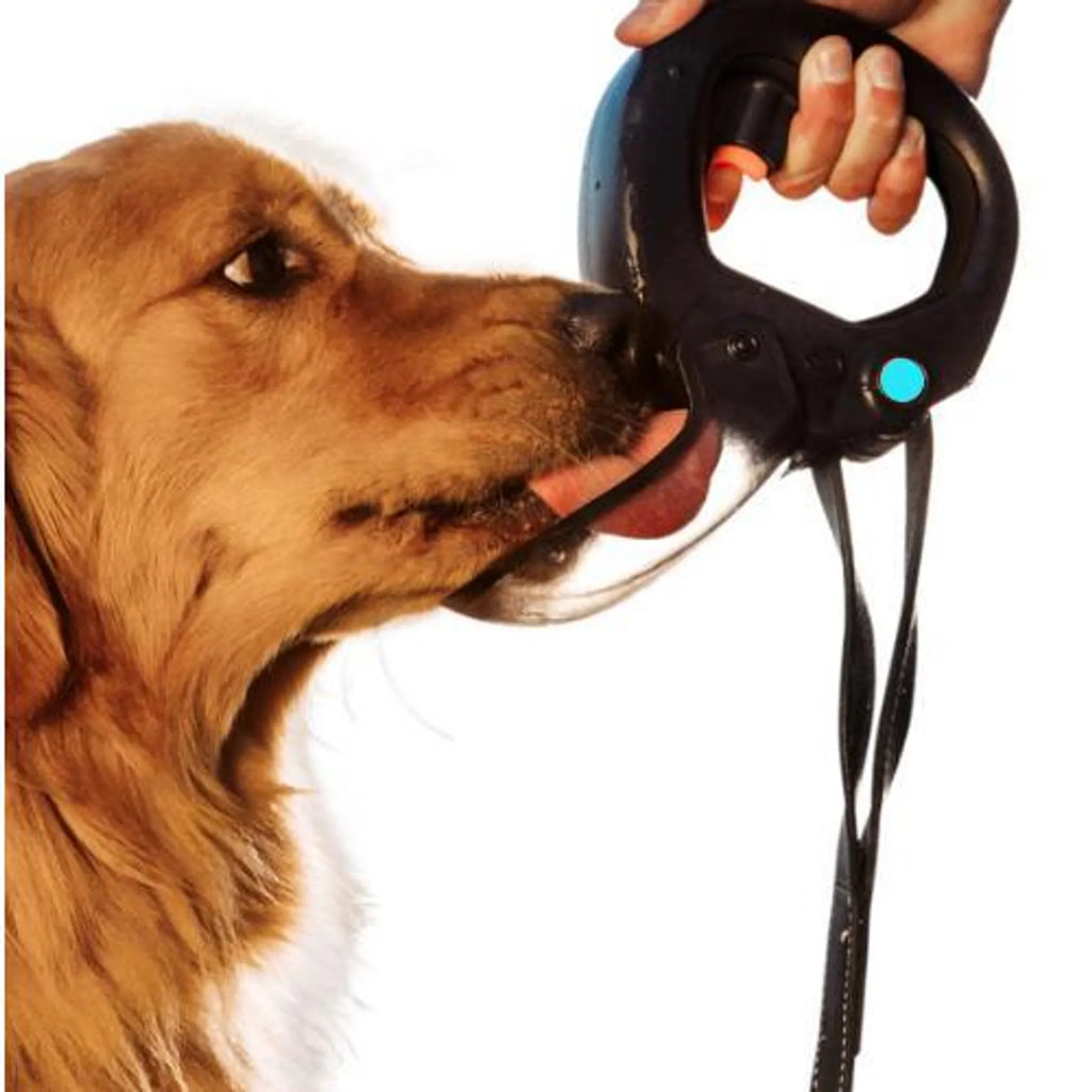 Leash-Ready Dog Water Bottle