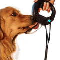Leash-Ready Dog Water Bottle