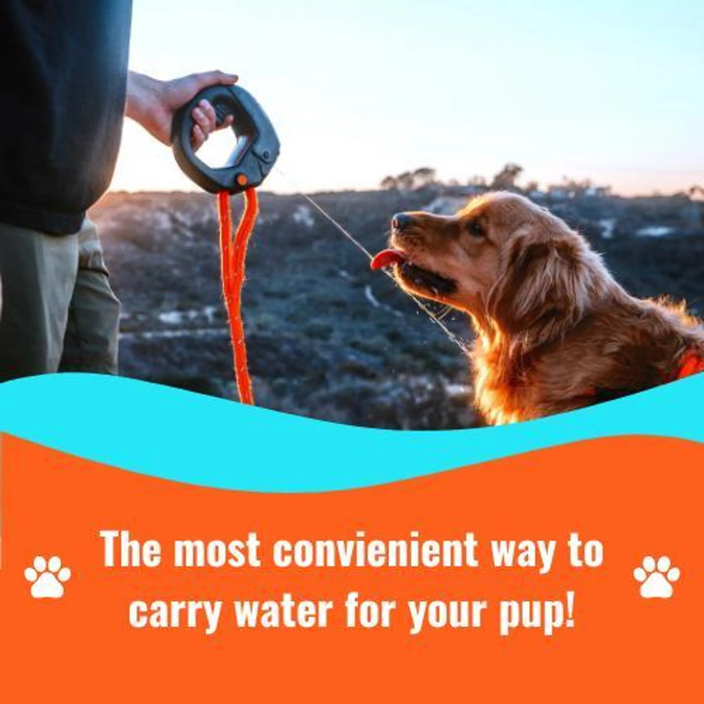 Leash-Ready Dog Water Bottle