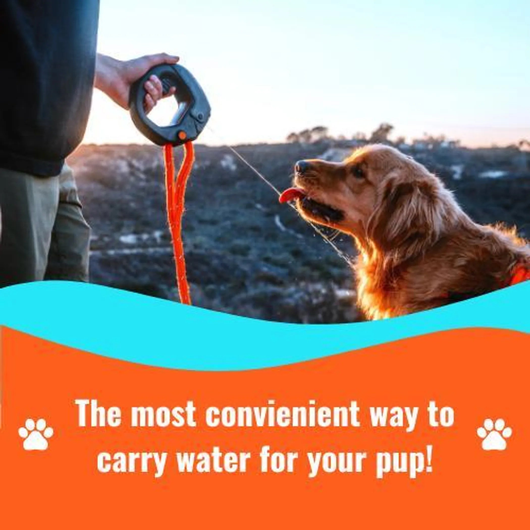Leash-Ready Dog Water Bottle
