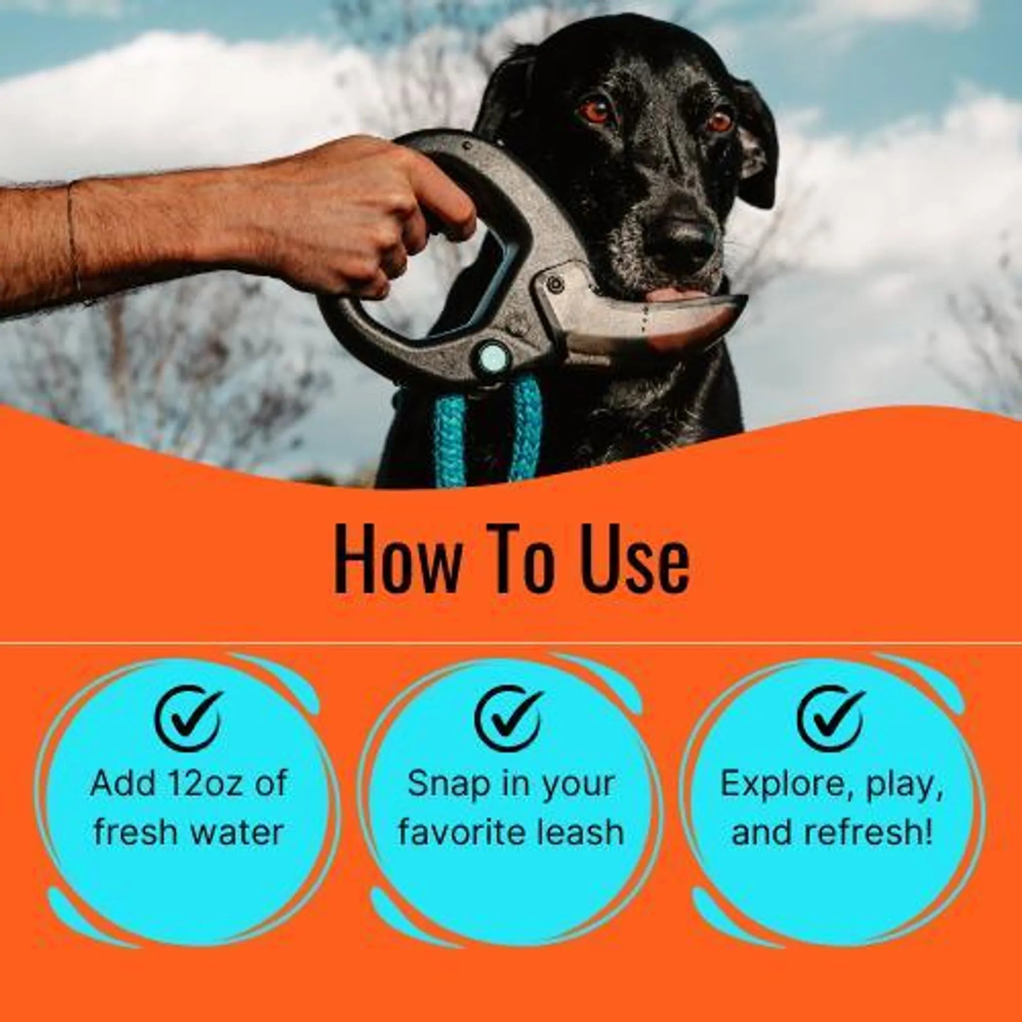 Leash-Ready Dog Water Bottle