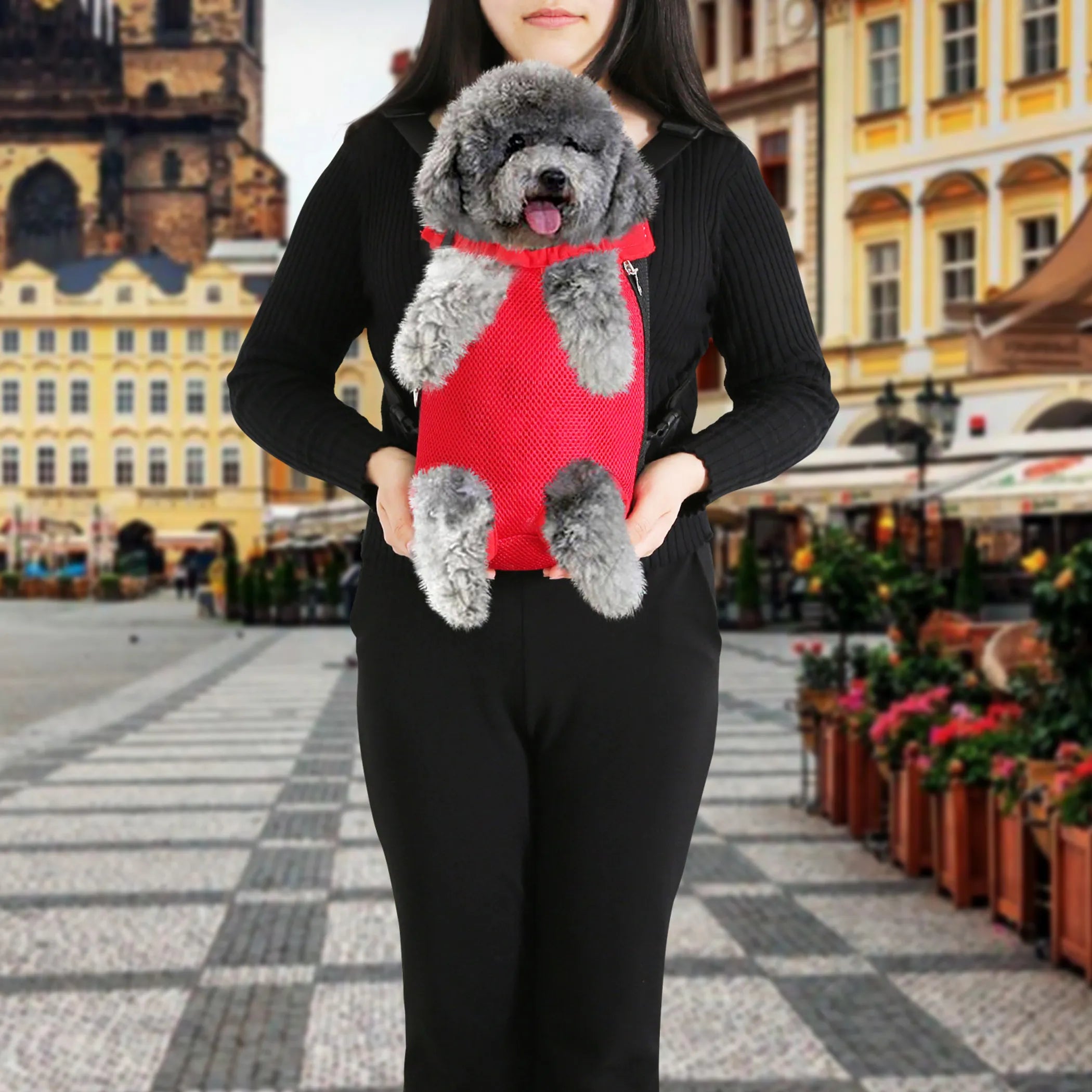 Legs-Out Front Pet Backpack Carrier