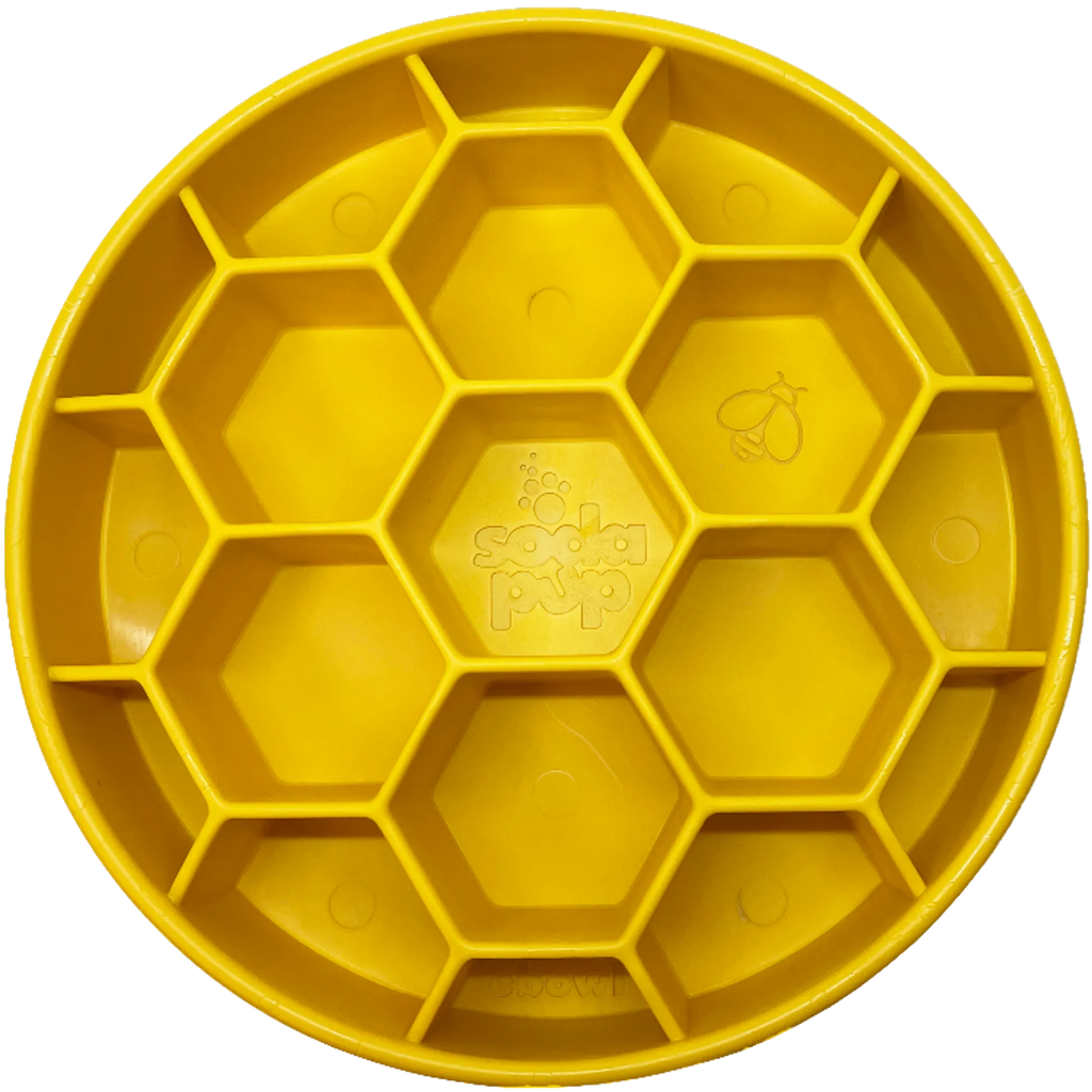 Honeycomb Slow-Feeder Bowl